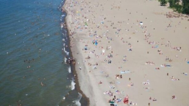 A beach with numerous people and umbrellas. - NEW, Super Comfortable Ranch! (Mentor)