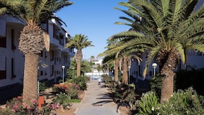 Un chemin bordé de palmiers et un bâtiment doté de balcons, qui s’étend vers un ciel bleu azur.