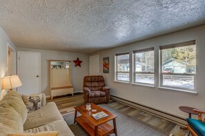 Smart TV, fireplace, DVD player, books