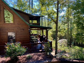 Unclassified image, 3 of 27, button