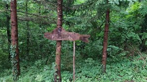 Un segnale di legno con la scritta "DOBRENICI" in una zona boschiva.