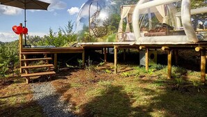 Front of property - BubbleSky Glamping (Retiro)