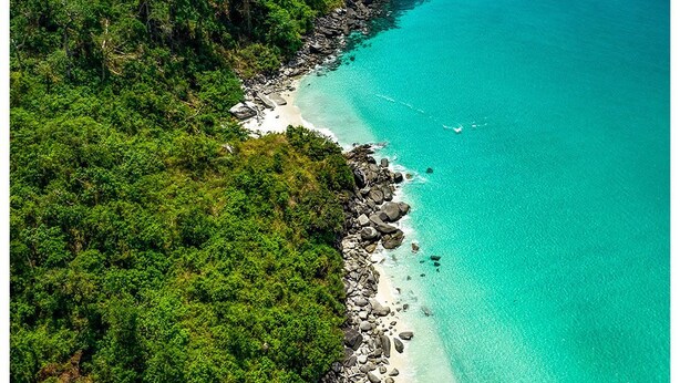 Vista aerea di una zona costiera con spiaggia, costa rocciosa e fitta foresta verde.