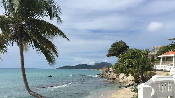A beach with a palm tree, clear water, and a white building with steps leading down to the shore. - Best Location, Caribbean views, Off street parking, walk everywhere. (Vieques)