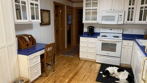 Une cuisine avec des meubles de rangement en bois, un plan de travail bleu, une cuisinière et un chien allongé sur un tapis.
