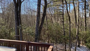 Une terrasse en bois avec une table, entourée d’une forêt aux arbres imposants et sous un ciel dégagé.