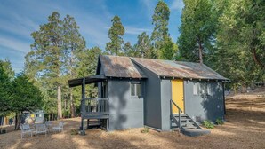 A small cabin with a porch and a yellow door, surrounded by trees.