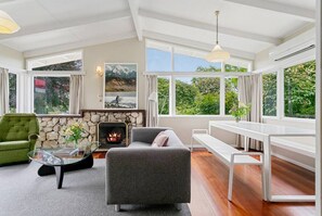 TV, fireplace, books