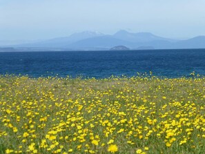 Unclassified image, 3 of 29, button