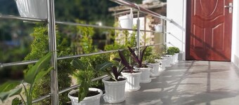 Rongo's RiverSide Farm Stay