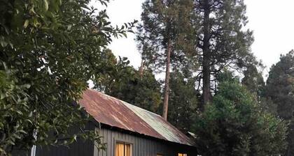 Cabin #8 - The Perch at Twin Peaks