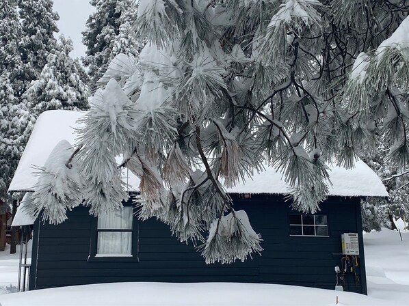 Une cabane d’un bleu foncé, dont le toit est recouvert de neige et au-dessus de laquelle pendent des branches de pin.