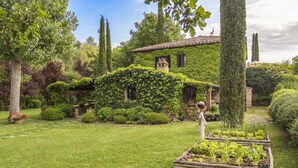 A garden with a house covered in ivy, a wooden planter box with plants, and a person in a hat. - Molino L Oppino 6 in Torrita di Siena (Torrita di Siena)