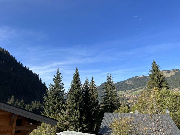 A mountain landscape with a clear sky, dense forest, and a small building with a sloped roof.