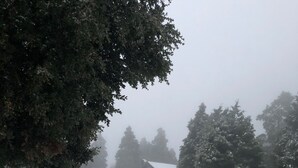 Un paysage enneigé, parsemé d’empreintes de pas qui mènent à une maison.