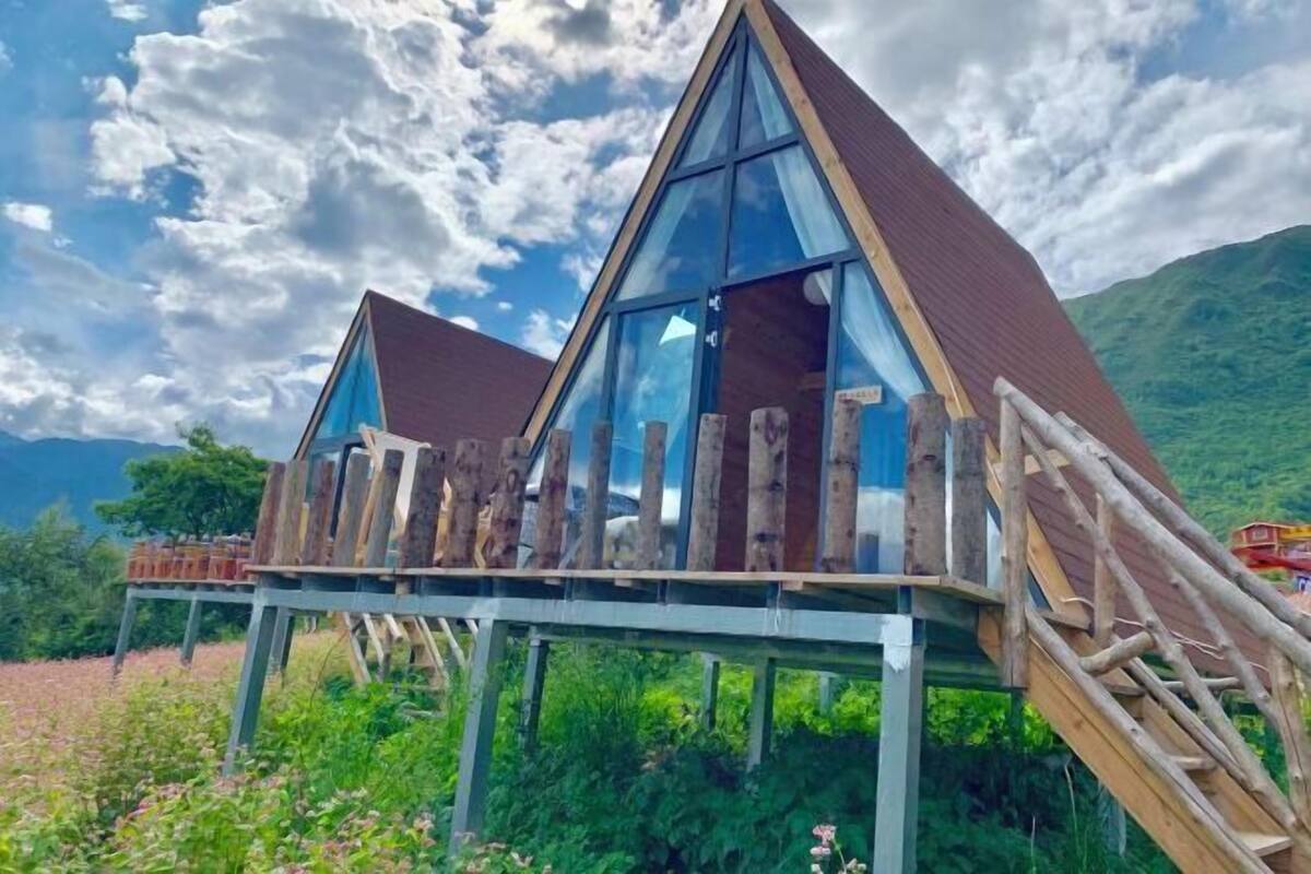 Une cabane en bois dotée d’une façade en verre, surélevée sur des piliers, nichée dans un paysage luxuriant.