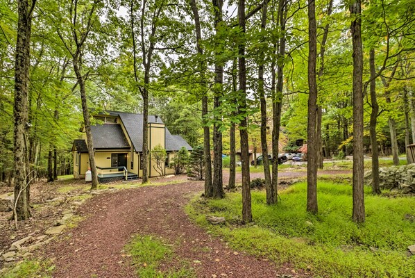 A cabin with a gravel driveway, surrounded by tall trees and greenery.