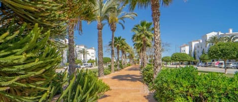 Un sendero pavimentado bordeado de palmeras y cactus, que conduce a un edificio de fachada blanca.