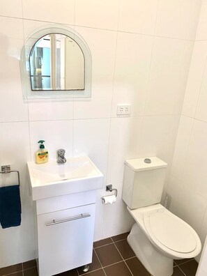 Shower, hair dryer, towels, toilet paper