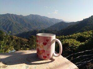 Vista desde la propiedad