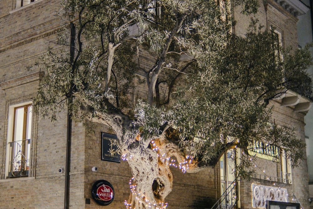 B&B Palazzo Storico Di Nicola