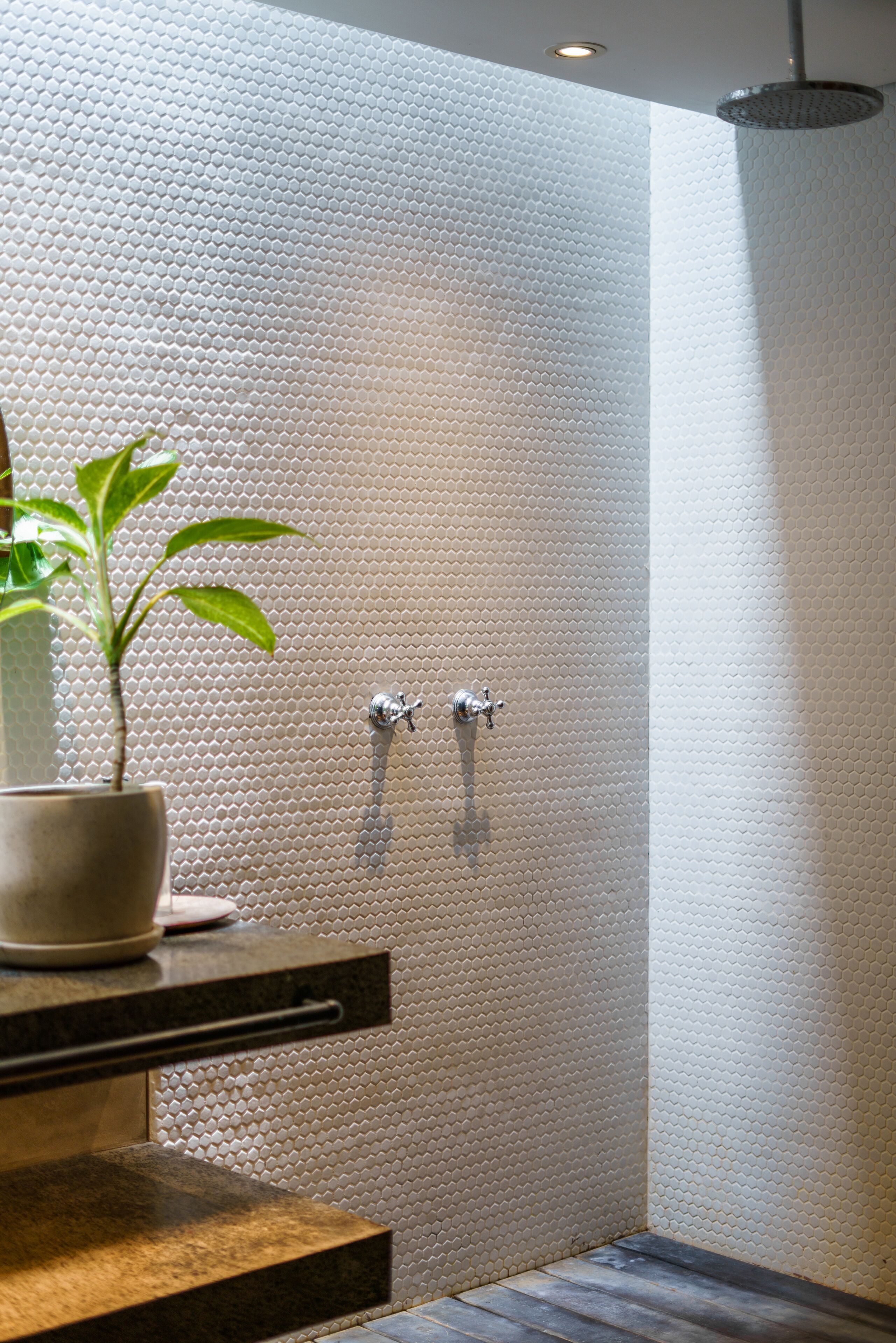 A bathroom with a textured wall, a potted plant, a sink, and a shower area.