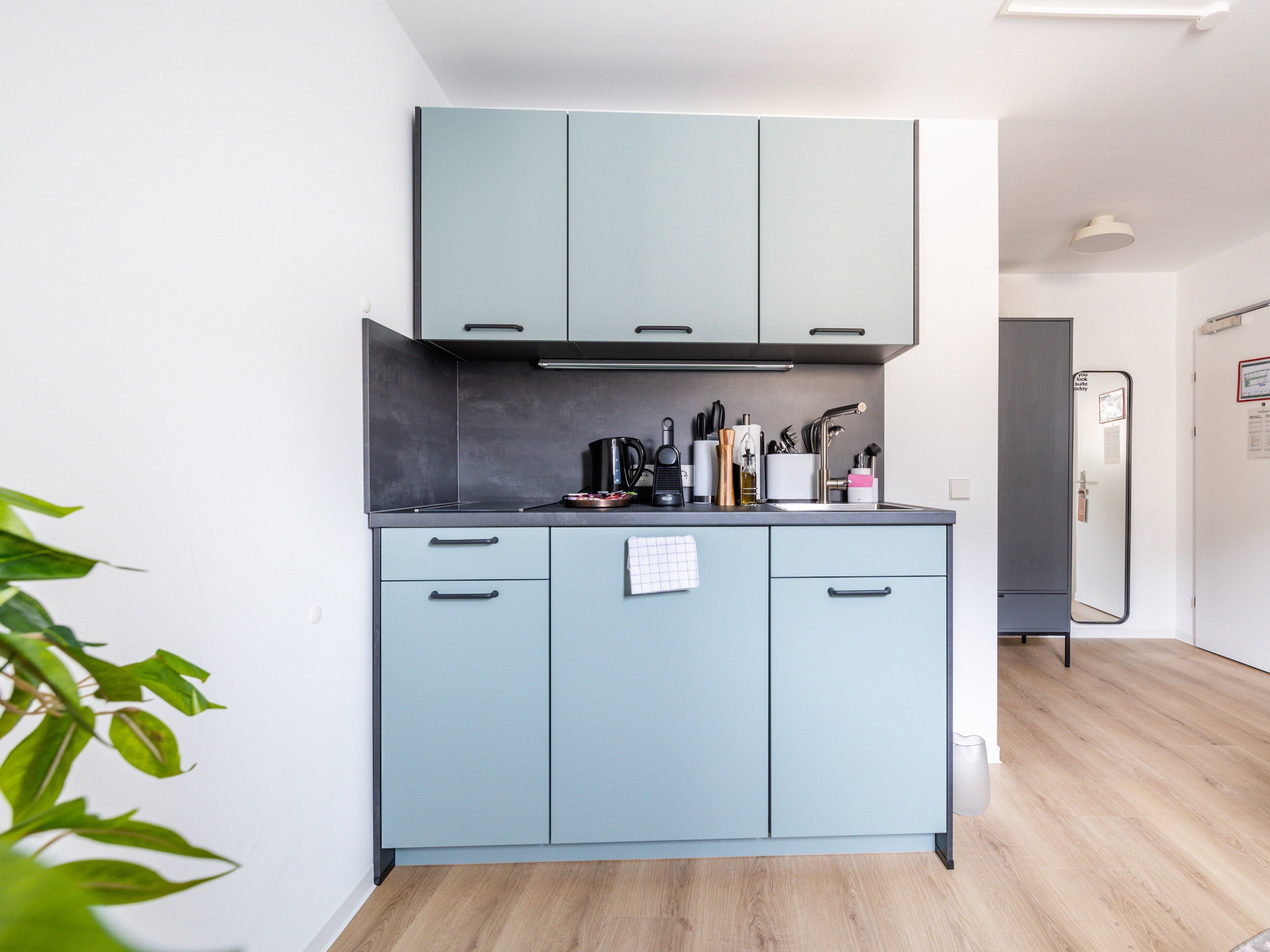Uma cozinha moderna com armários azul-claros, bancada preta e uma pequena planta no canto.