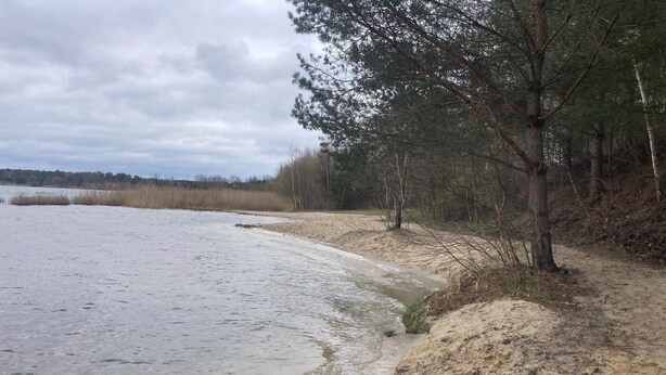 Ein sandiger Strand mit einem kleinen Bach, umgeben von Bäumen und einem bewölkten Himmel.