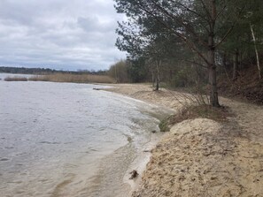 A sandy beach with a small stream, surrounded by trees and a cloudy sky.