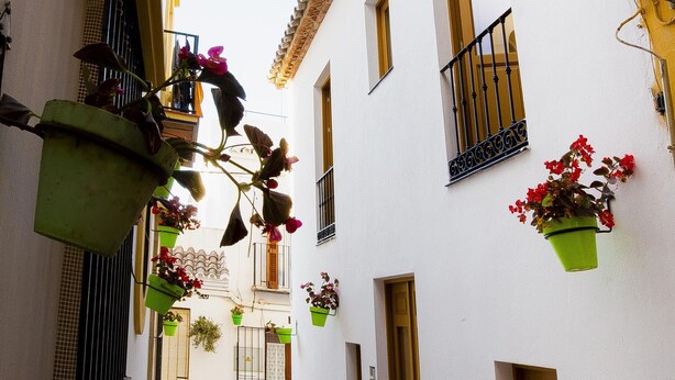 A narrow street with white buildings, balconies with hanging plants, and a cobblestone street. - Historic Center Apartment with Modern Comforts & Patio in Estepona (Estepona)