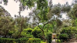 Un jardin aménagé avec différents arbres et arbustes, un chemin pavé et un bâtiment en arrière-plan.