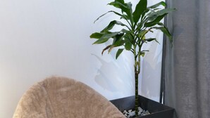 Ein gemütliches Zimmer mit einem bequemen Ohrensessel, einer Topfpflanze und einem modernen schwarzen Tisch.