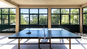 Ein Tischtennis-Tisch in einem Raum mit großen Fenstern und Blick auf Bäume.