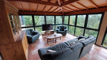 Smart TV, fireplace