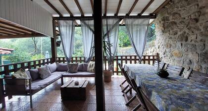 Maisons des Fleurs, villa with pool in northern Portugal