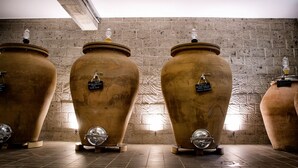 مصنع نبيذ