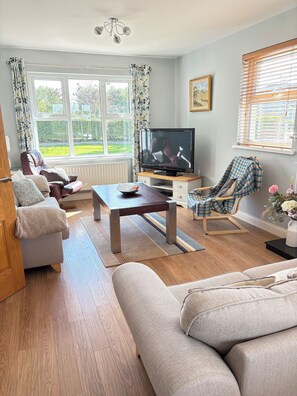 Smart TV, fireplace, DVD player, books