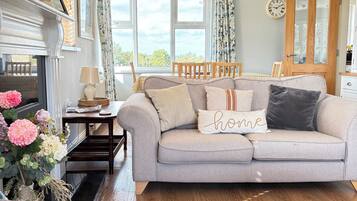 Smart TV, lareira, DVD player, livros