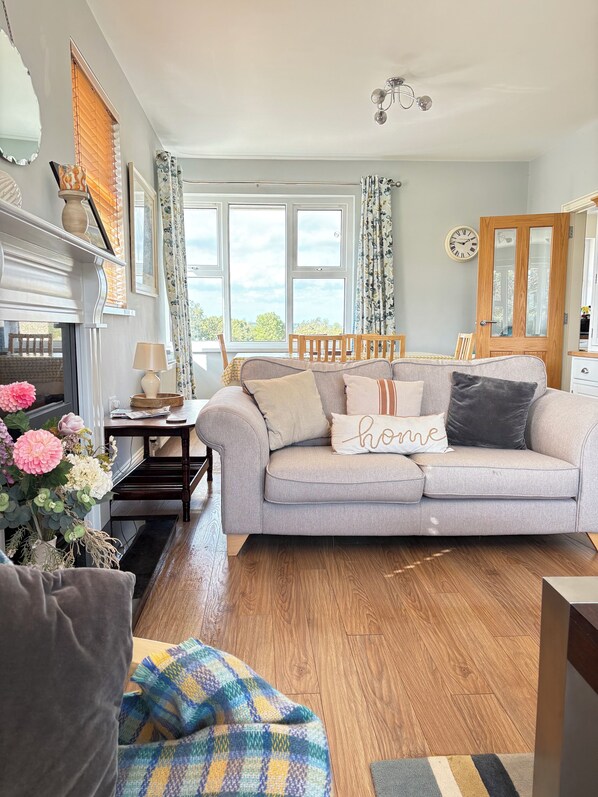 Smart TV, fireplace, DVD player, books