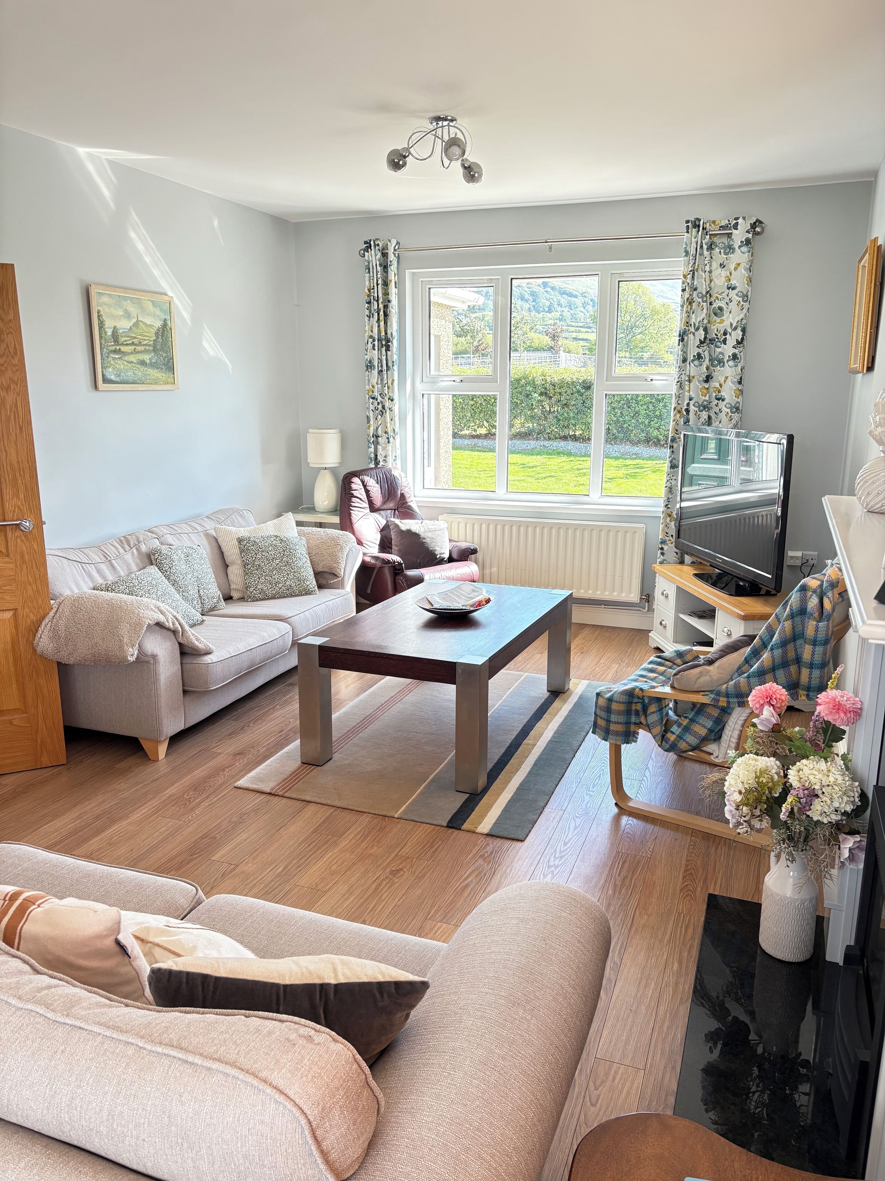 Älytelevisio, takka, DVD-soitin, kirjoja