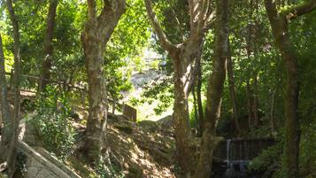 Terrein van de accommodatie