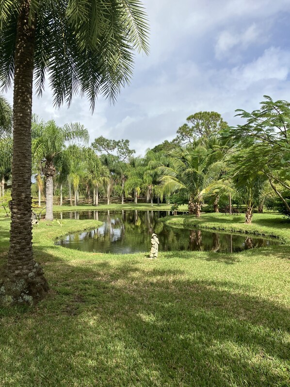 Property grounds - 🌴Country Log Cabin - 2 Bedrooms,  & JACUZZI bath Near BEACH! (Vero Beach)