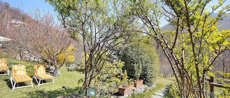 Parco della struttura