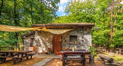 Chalet "Casa U Parmento" on the Etna Natural Park with Garden & Terrace