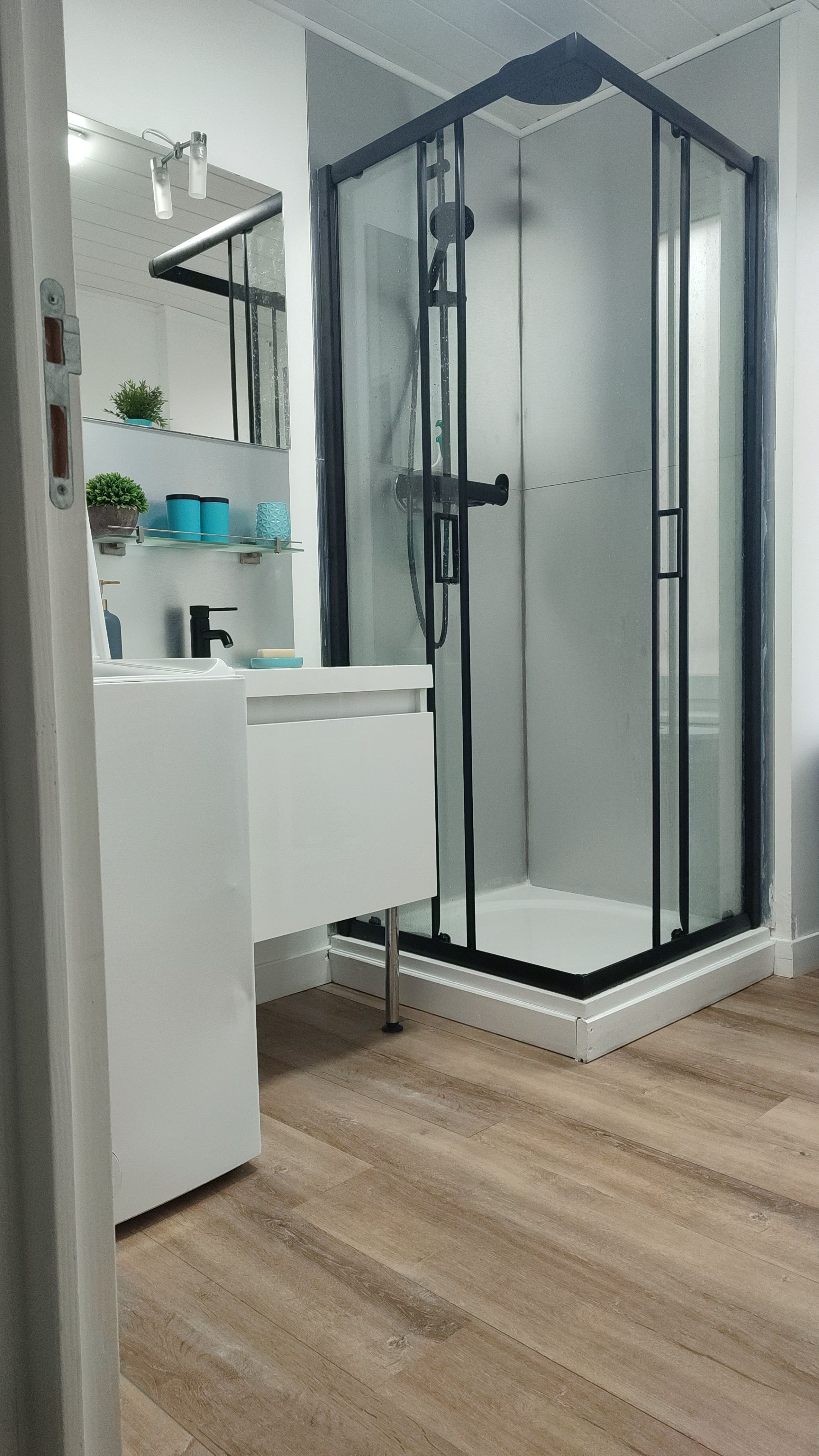 A modern bathroom with a glass shower enclosure, a white countertop, and a mirror above the sink.