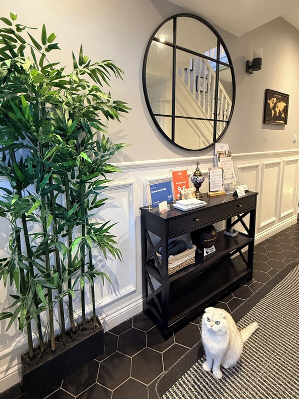 A reception area with a potted plant, a console table with informational brochures, a round mirror, and a cat on a patterned rug.