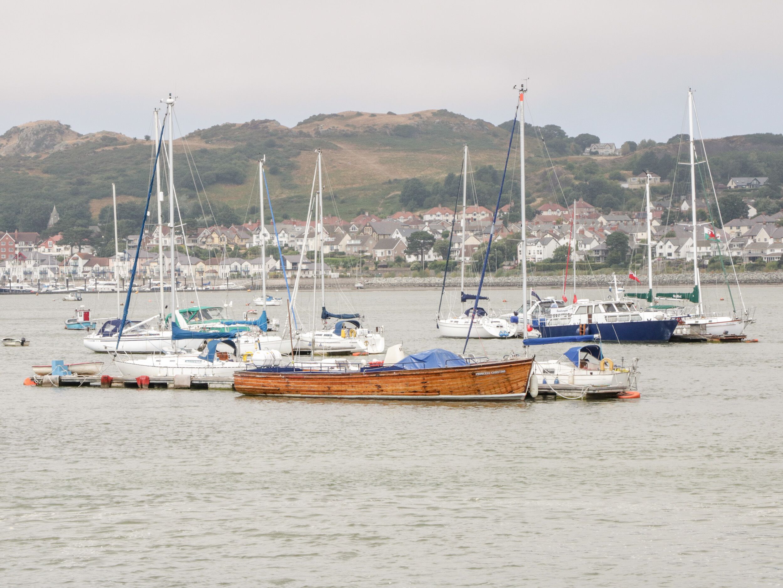 A marina with various boats docked, surrounded by a residential area with houses in the background.