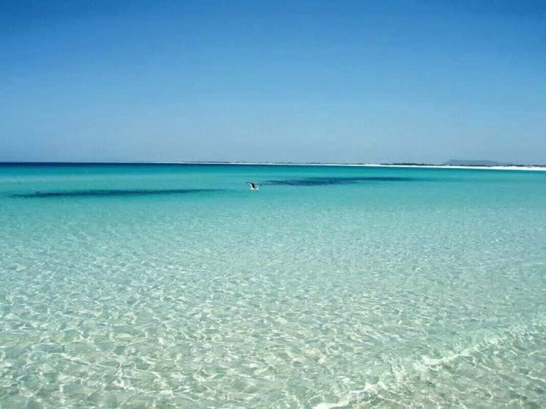 Apartamento | Praia | Na praia, areia branca, prática de vôlei de praia, 10 bares na praia 