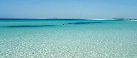 Apartment | Beach | On the beach, white sand, beach volleyball, 10 beach bars