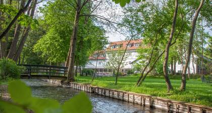 Insel Mühle